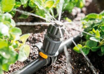 Что нужно знать о капельном орошении: его особенности и преимущества