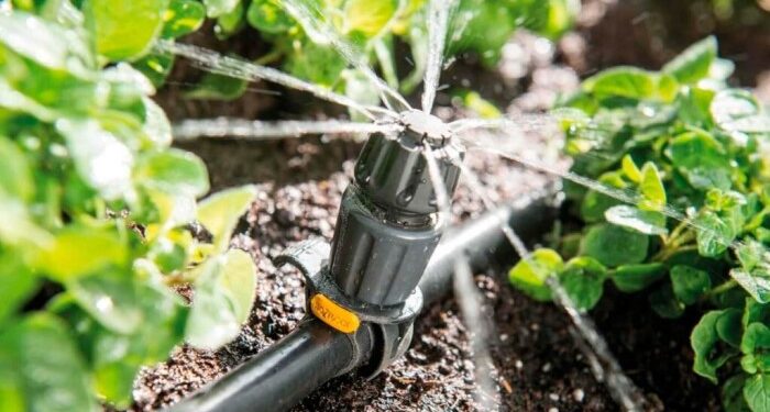 Что нужно знать о капельном орошении: его особенности и преимущества
