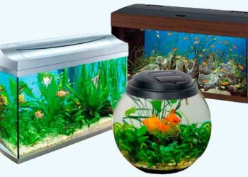 Разбираемся в видах аквариумов