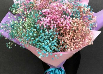 Особливості оформлення букета з гіпсофілів: основні правила та особливості