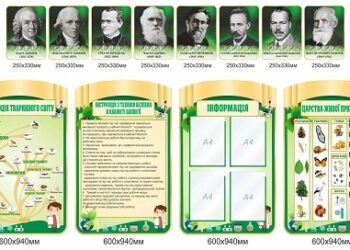 Шкільні стенди для предметних кабінетів: різновиди та критерії вибору